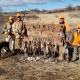 Pheasant Hunting with Triple T Hunting