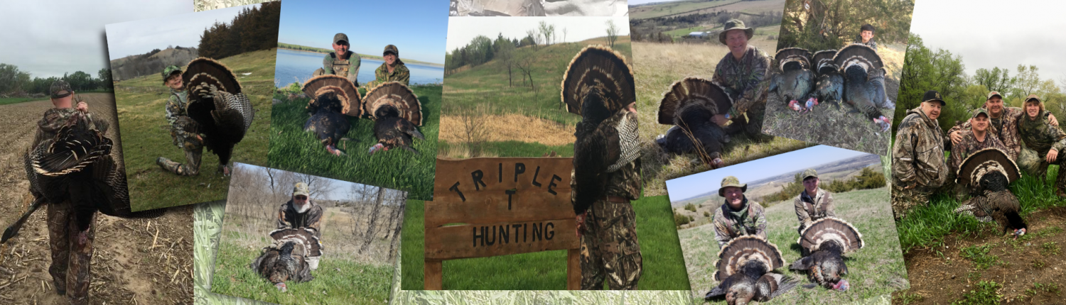 Turkey Hunting with Triple T Hunting Adventures